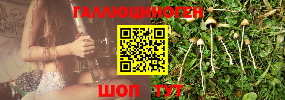 Галлюциногенные грибы прущие грибы  Вход с VPN  Каменка  Галлюциногенные грибы прущие грибы 